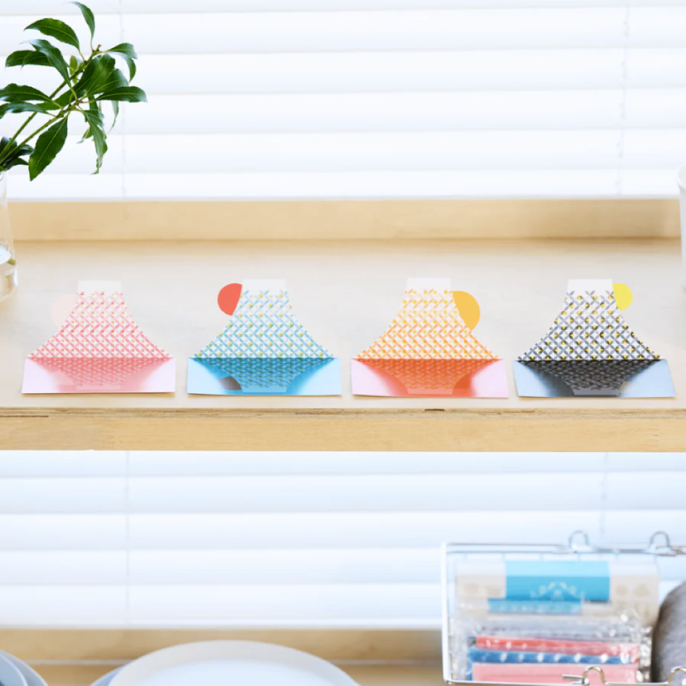 FUJI SUNSUN SPONGE Set